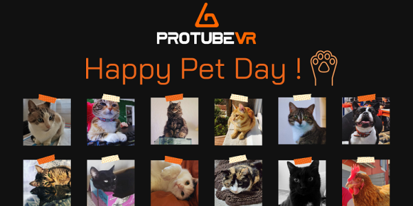 Happy pet day!