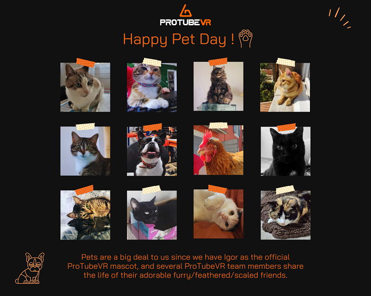 Happy pet day!